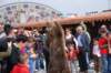 mercadomedievalencampohermoso78_small.jpg